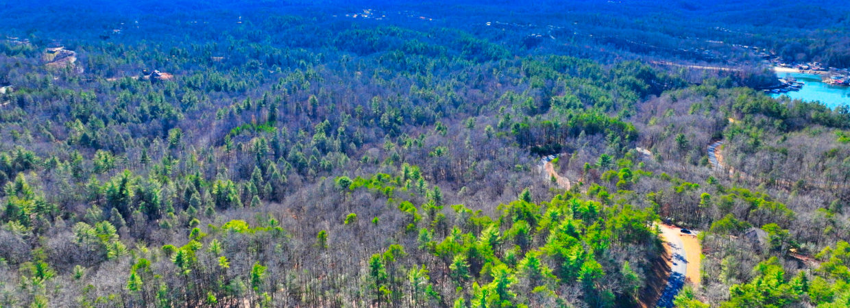 2.44 ACRE UNRESTRICTED PROPERTY  GUILFORD COUNTY, NC   $24,900